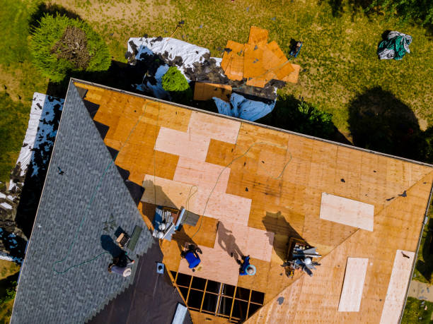 Best Storm Damage Roof Repair  in Kean University, NJ